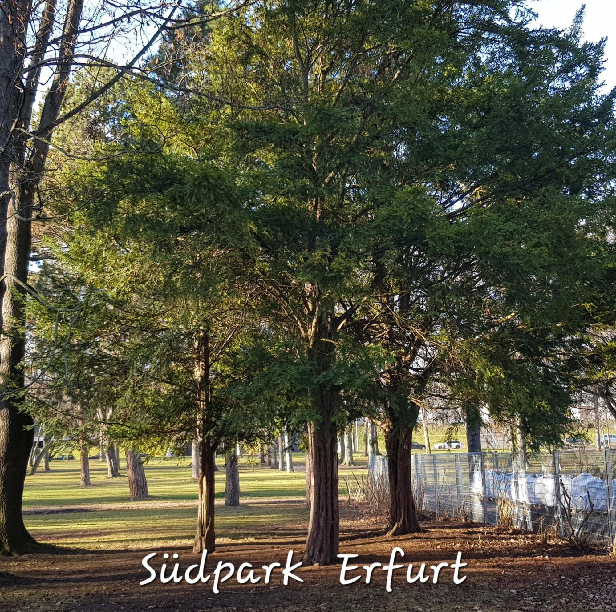 Apartment Am Suedpark Erfurt - Inkl Garten Mit Sitzlounge - Zentrumsnah Buitenkant foto